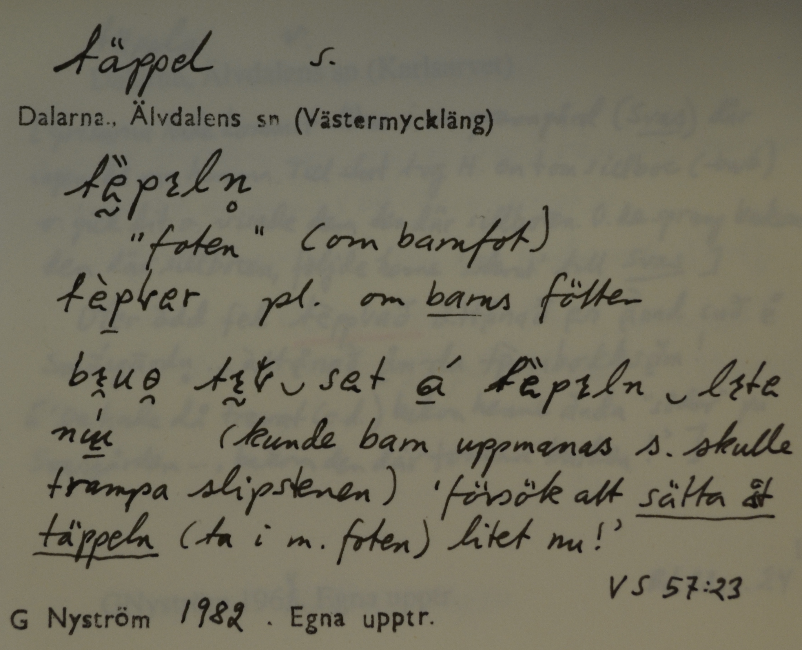 täppel_00001