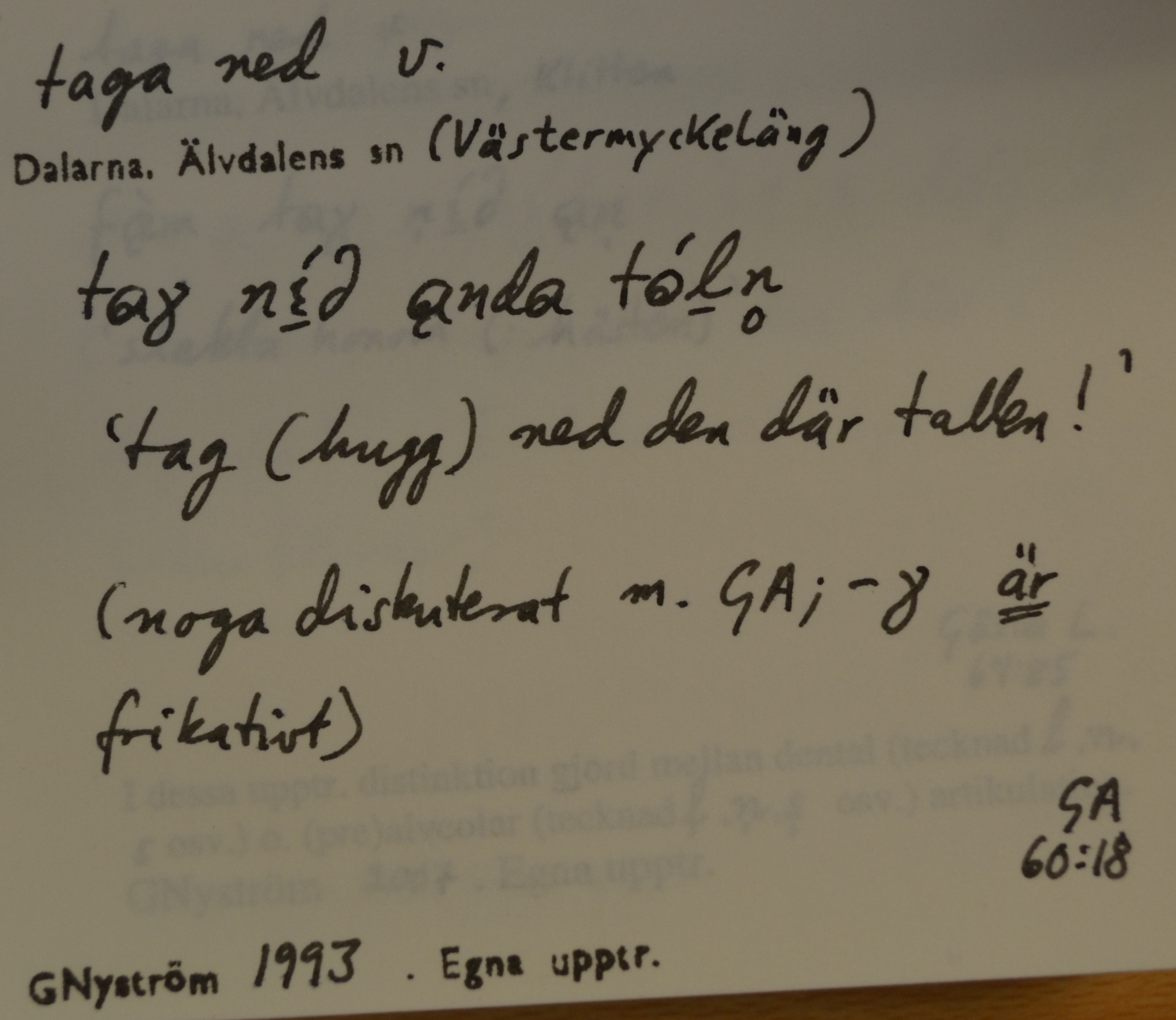taga ned_2