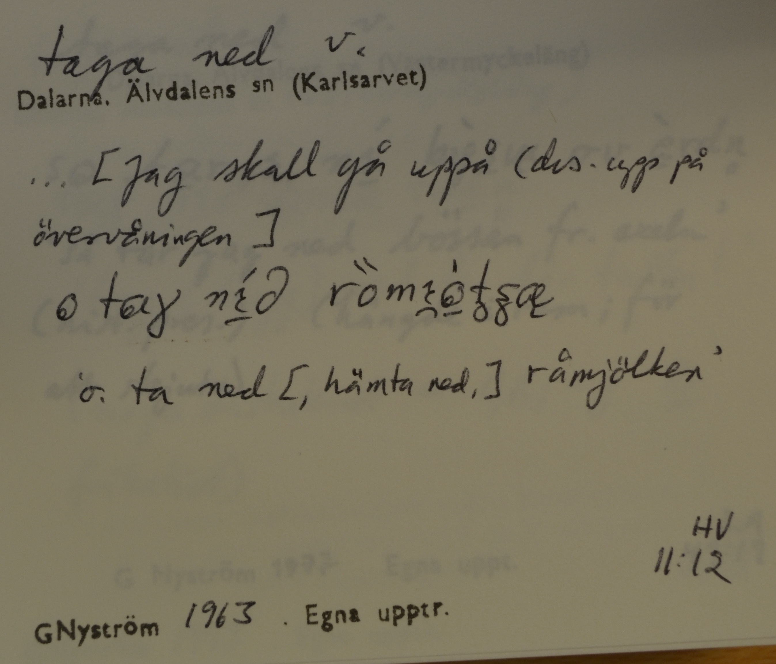 taga ned_4