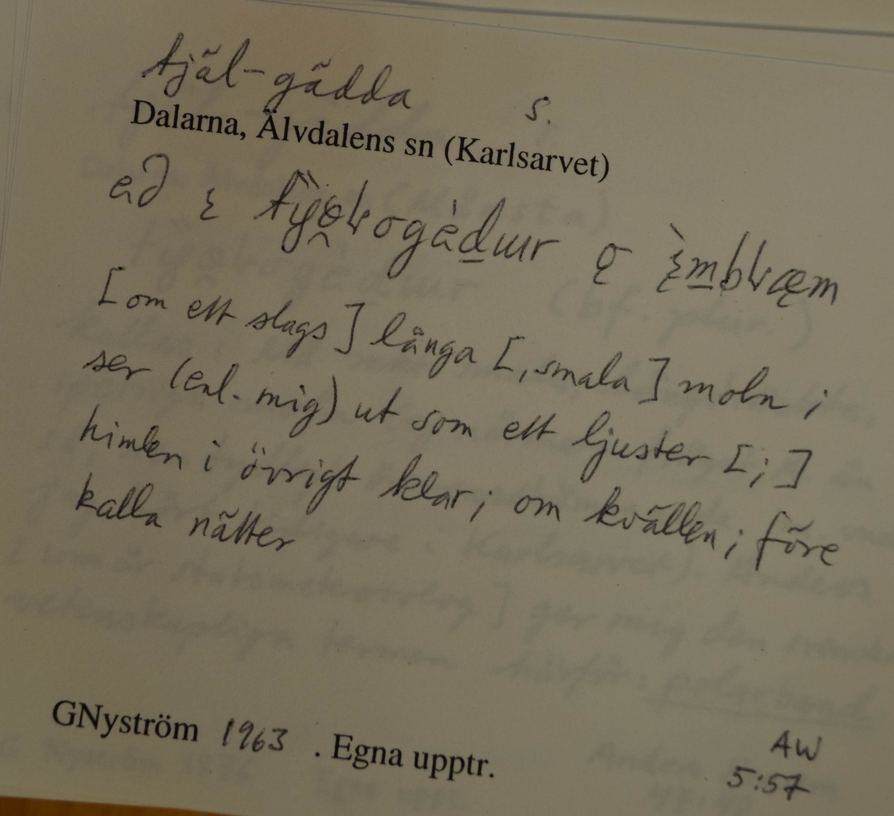 tjäl-gädda_1