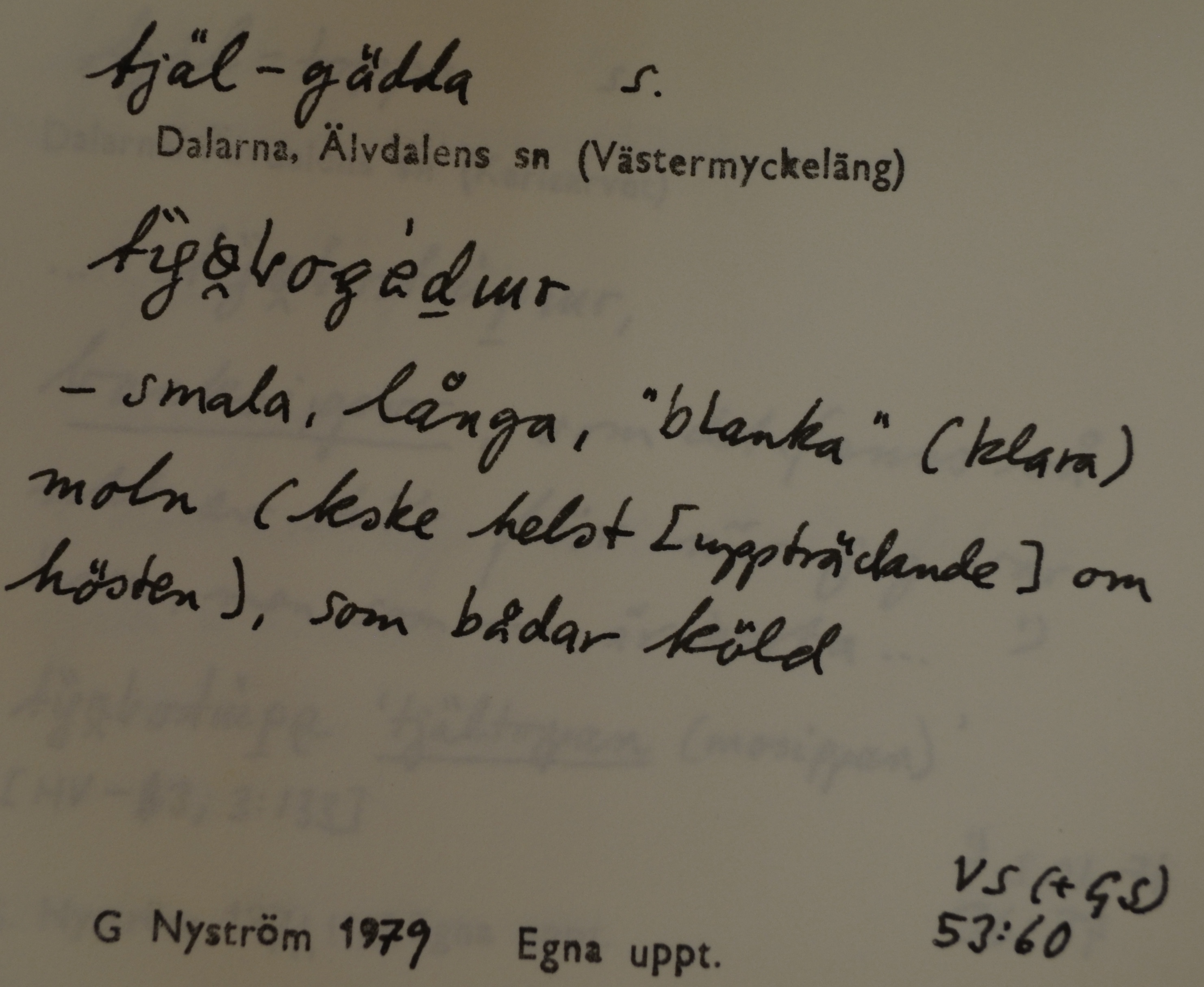 tjäl-gädda_2