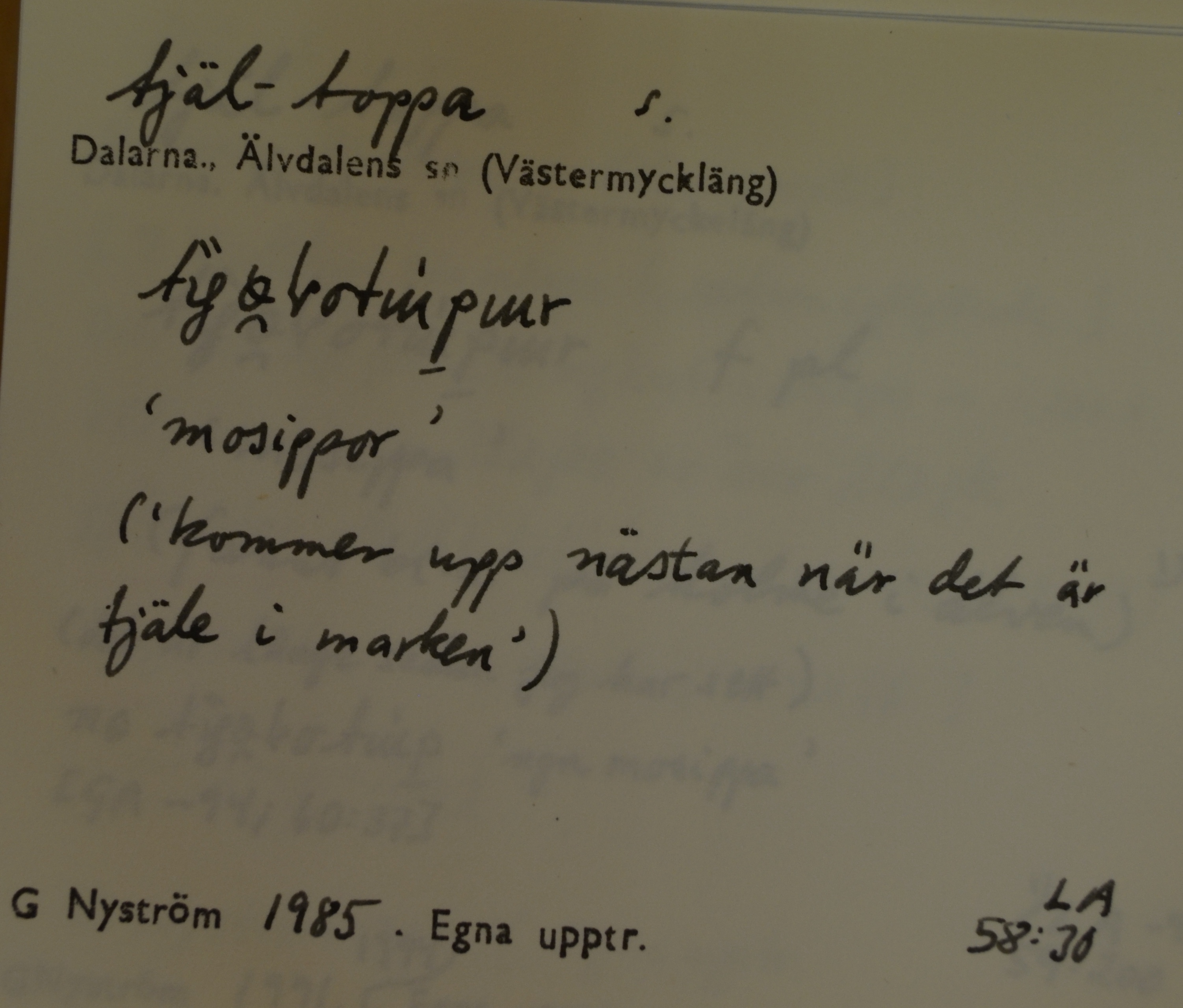 tjäl-toppa_1