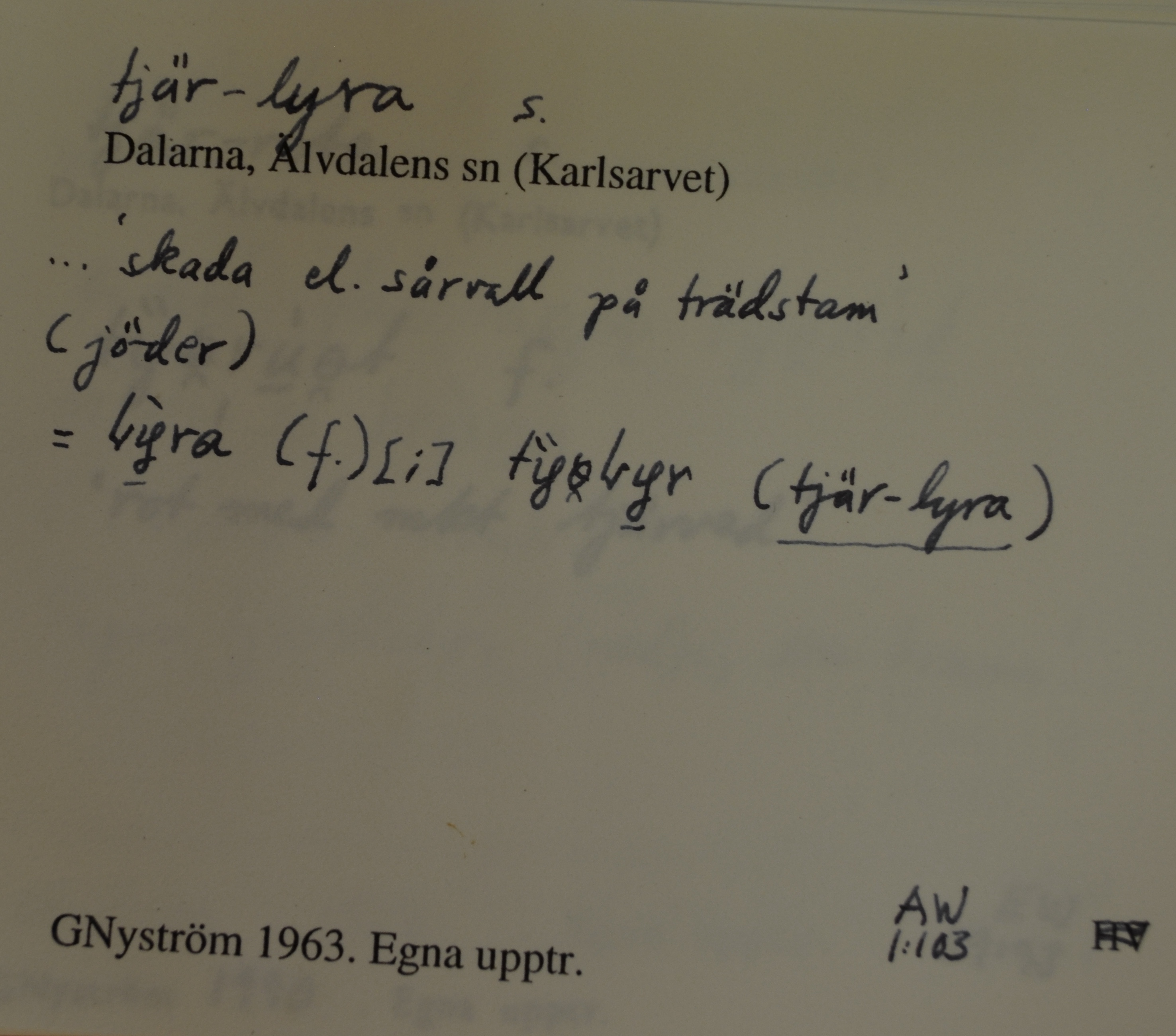 tjär-lyra_1