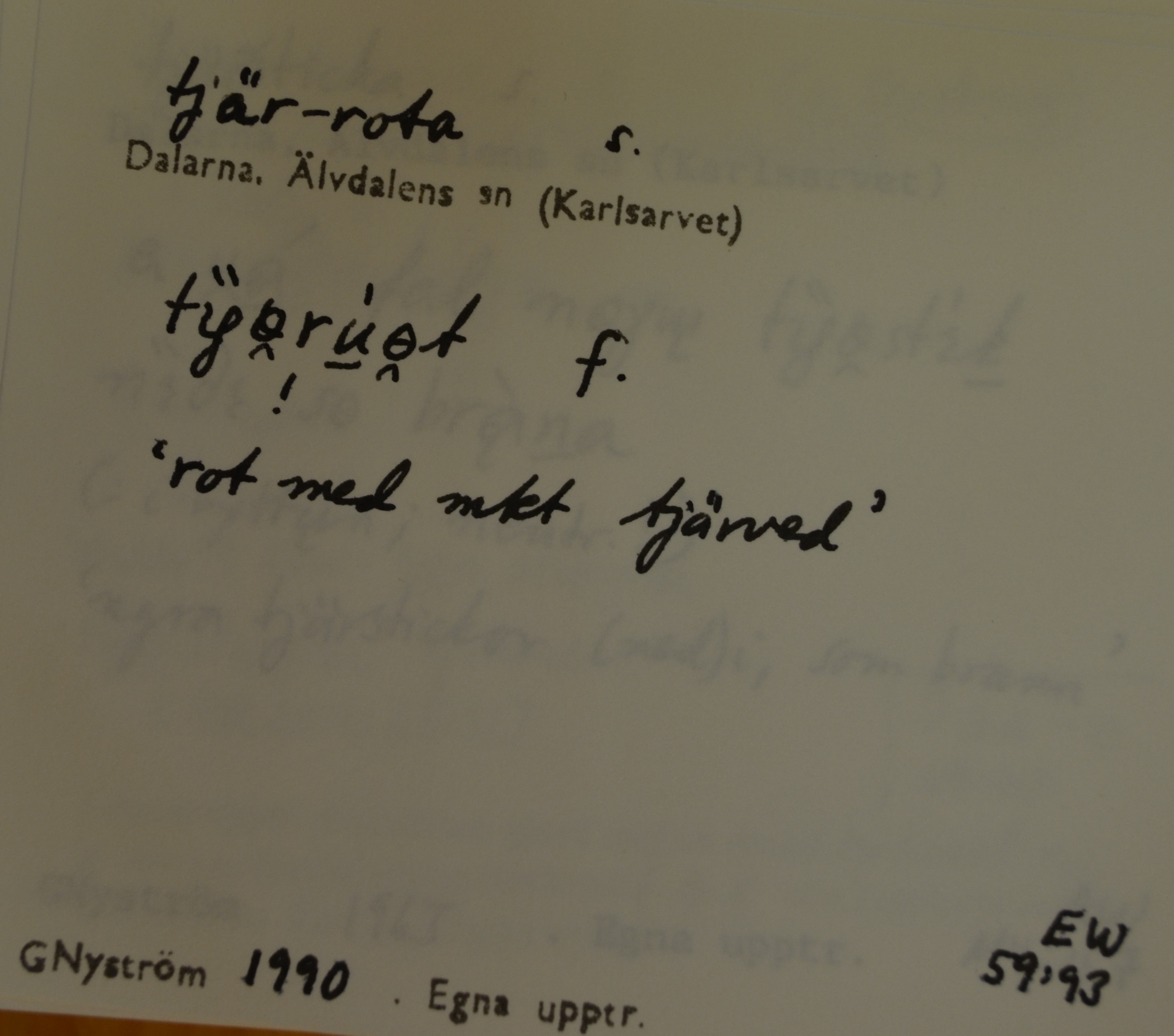 tjär-rota_1