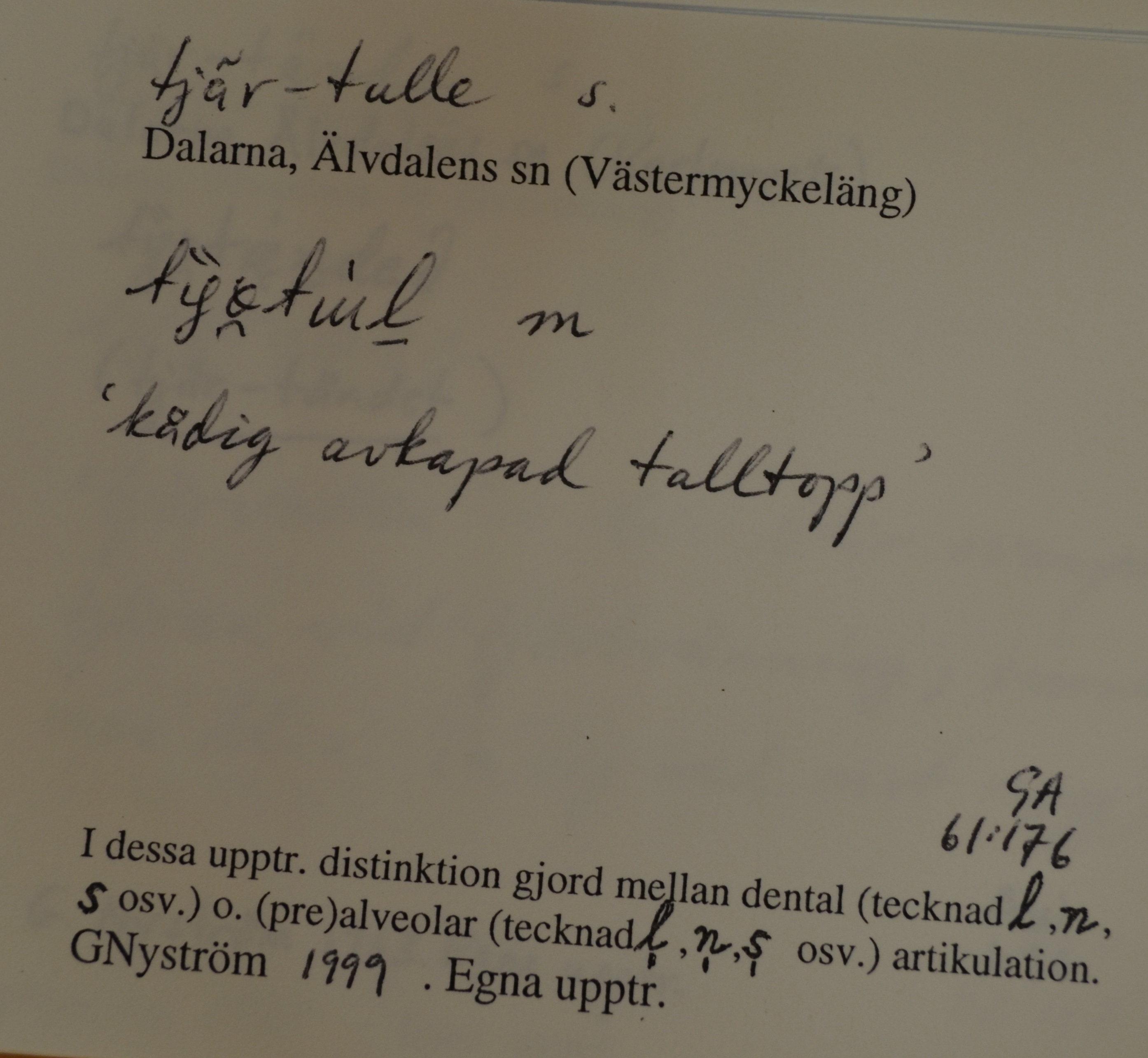 tjär-tulle_1