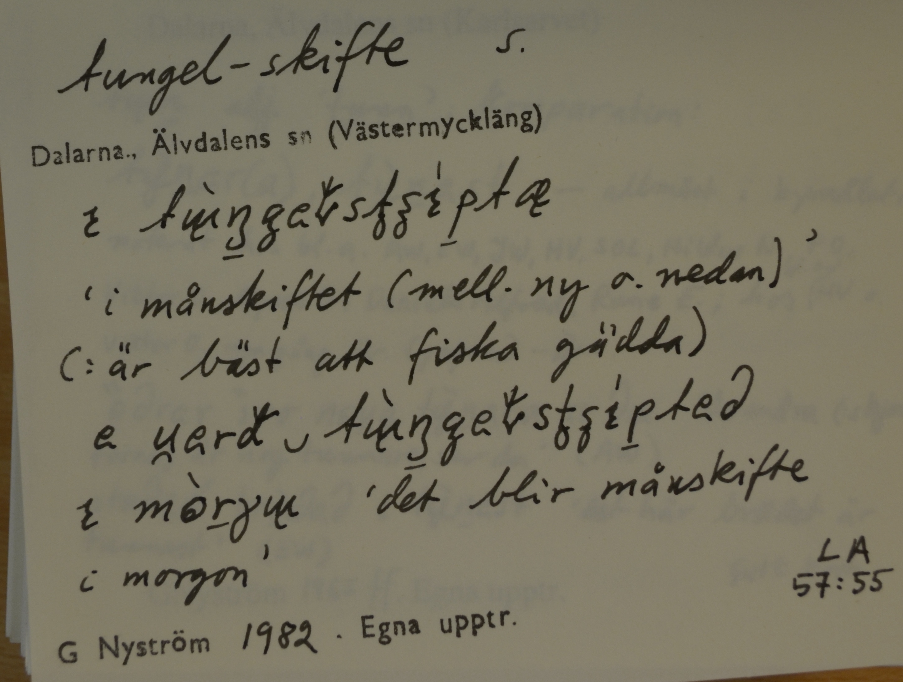 tungel-skifte_1