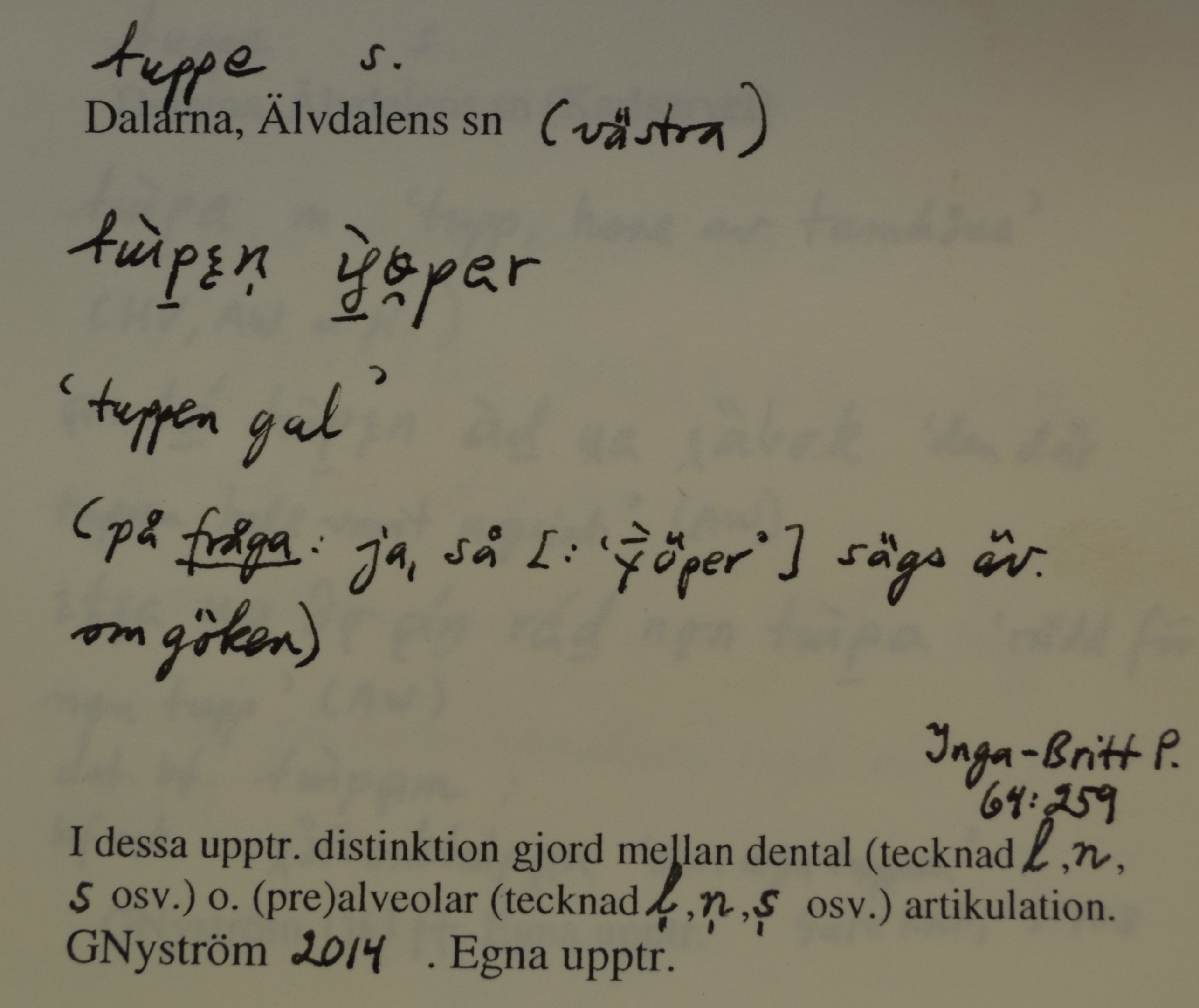 tuppe_4