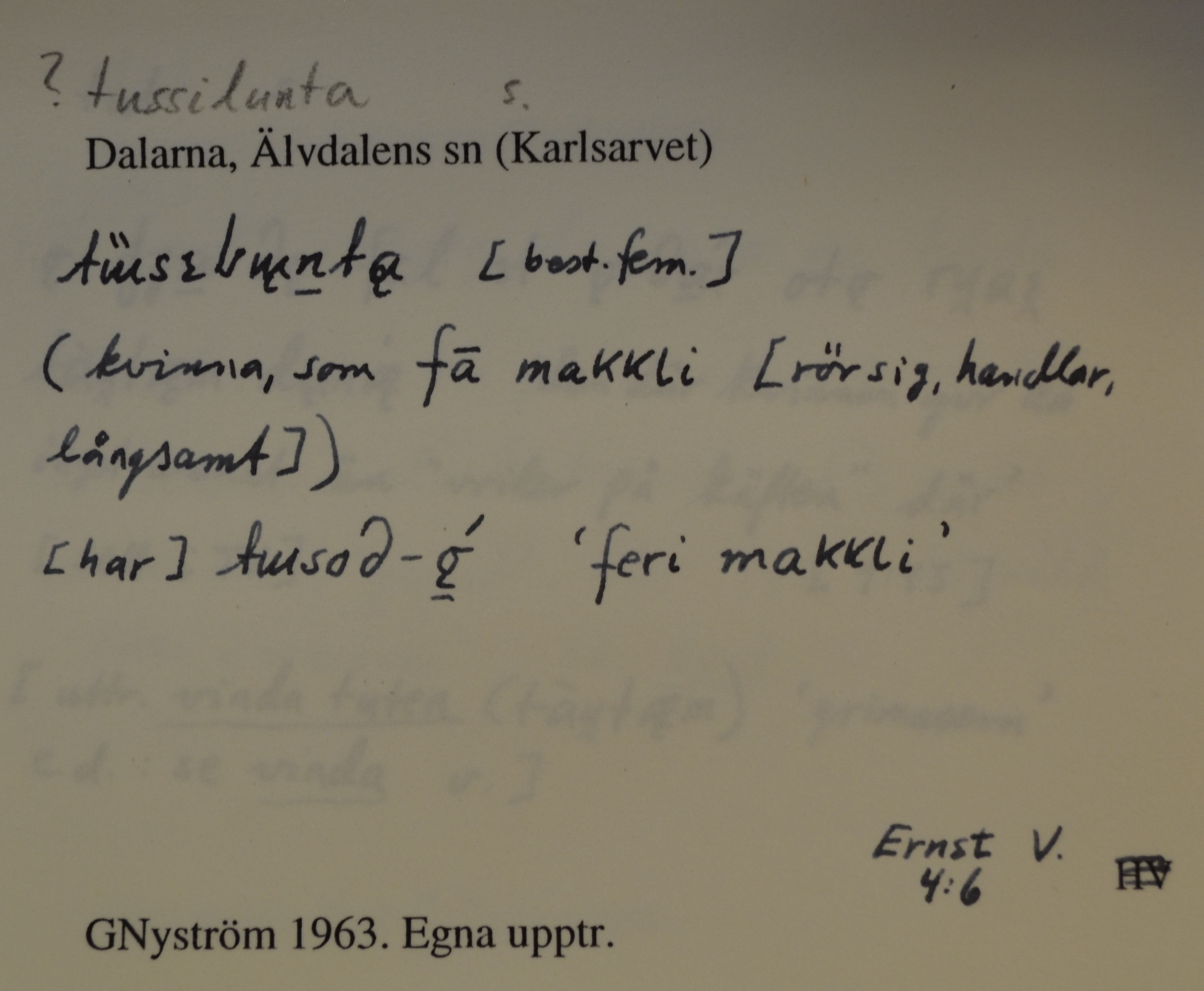 tussilunta_1