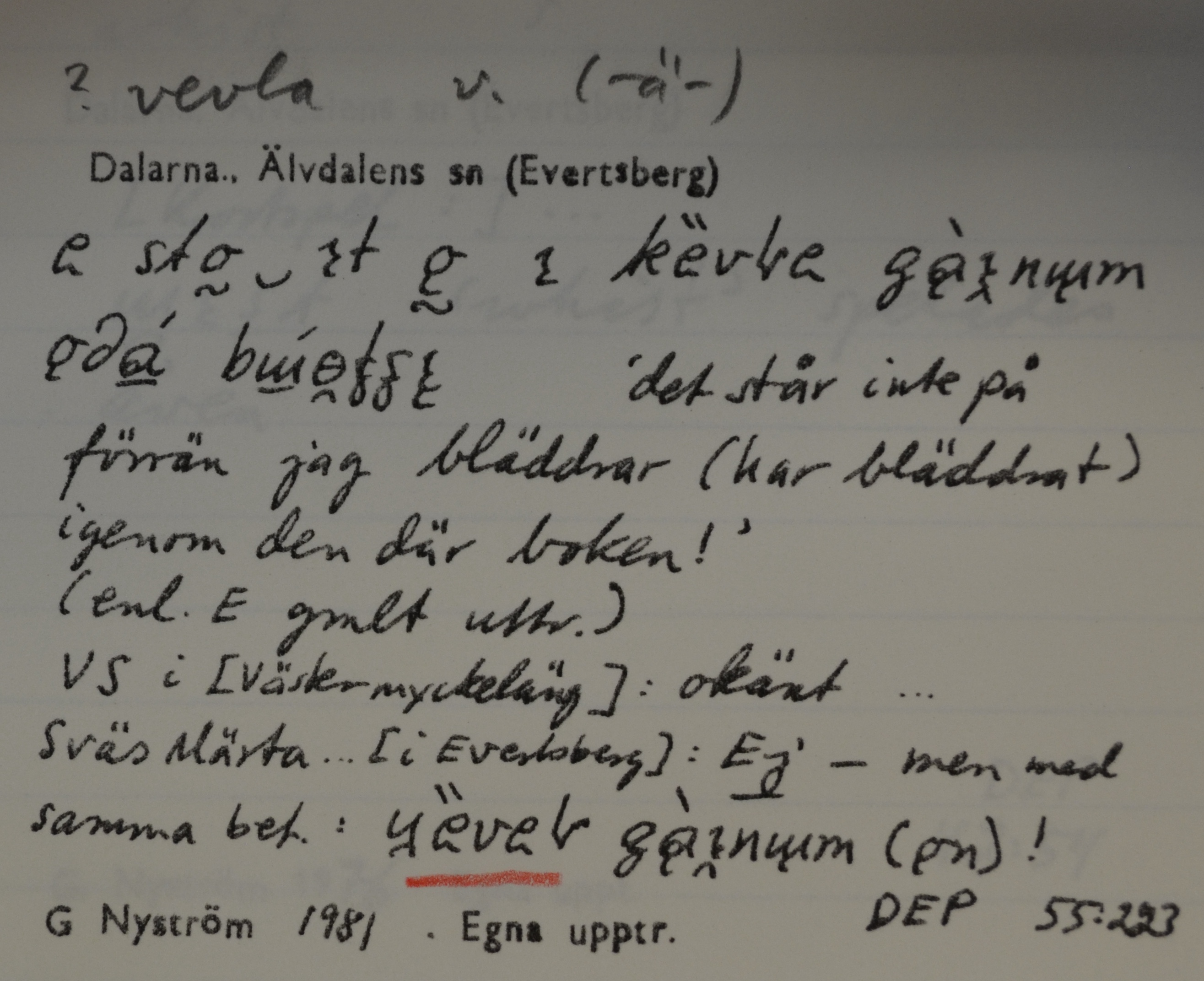 vevla_1